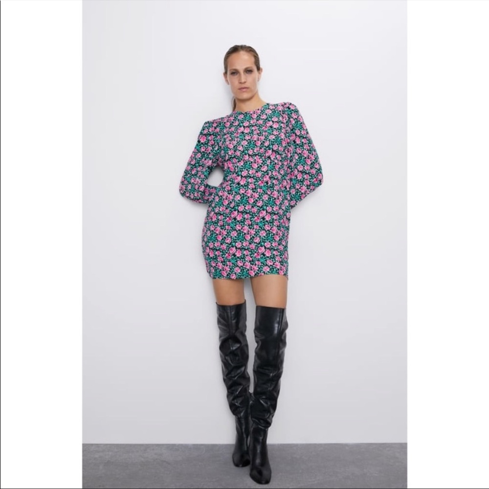 Zara Floral Puff Sleeve Long Sleeve Mini Dress